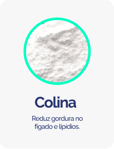 Colina-1.png