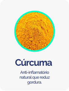 Curcuma-1.png