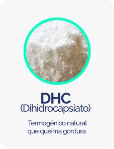 DHC-01.png