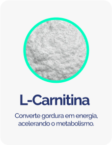 L-CARTININA.png